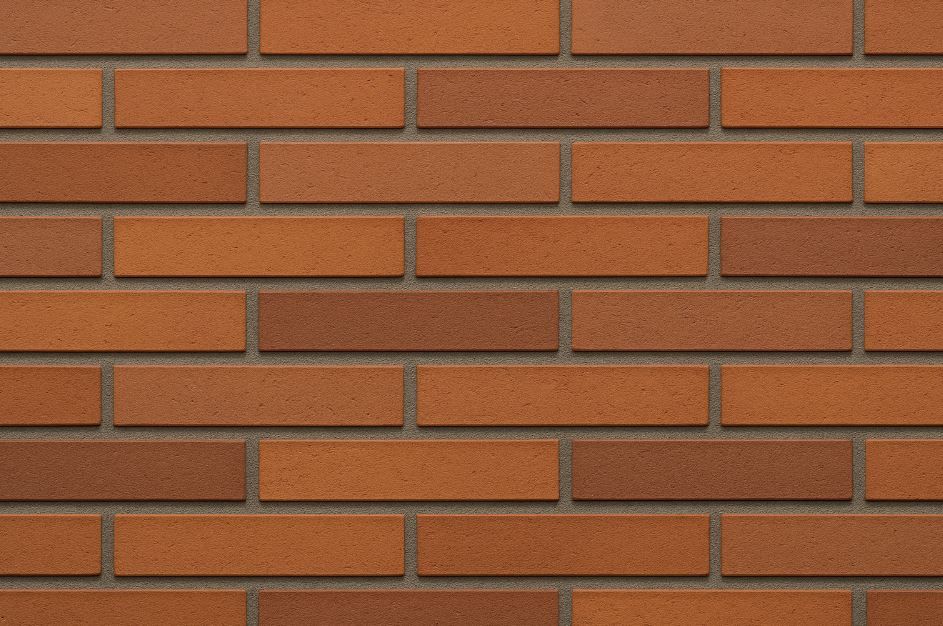 二丁掛完整指南｜尺寸介紹、特色優缺點與空間應用解析